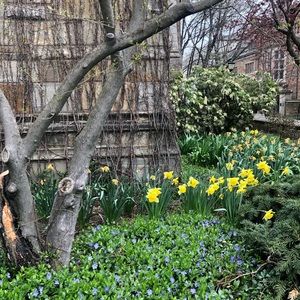 Meet your Posher, Haleigh